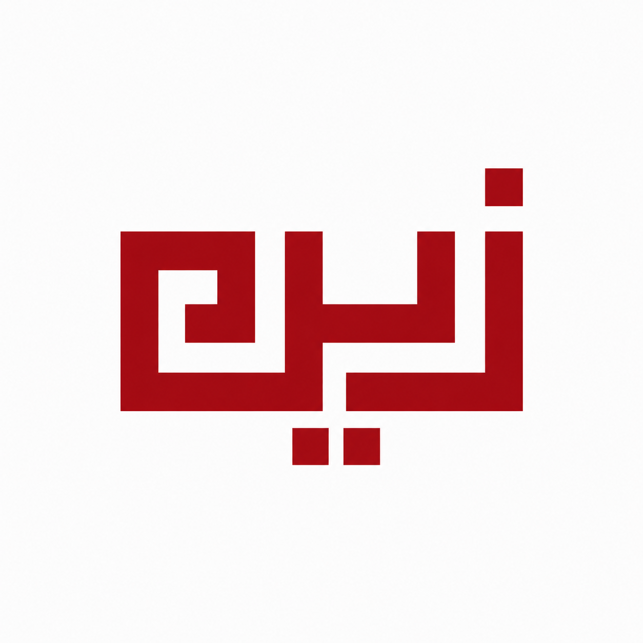 زین علی رضوی
